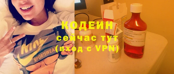 дмт Горняк