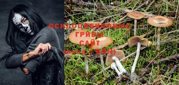 дмт Горняк