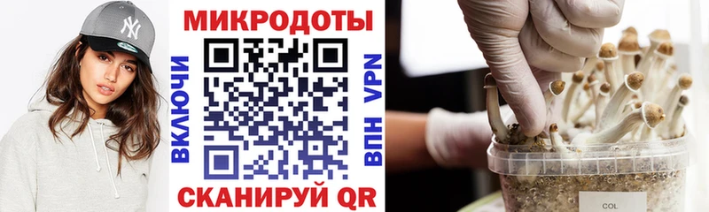 Купить где  Колпашево  Галлюциногенные грибы мицелий 